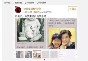 卓伟新爆料文章大全最新,揭秘娱乐圈最新猛料，独家揭秘明星幕后故事